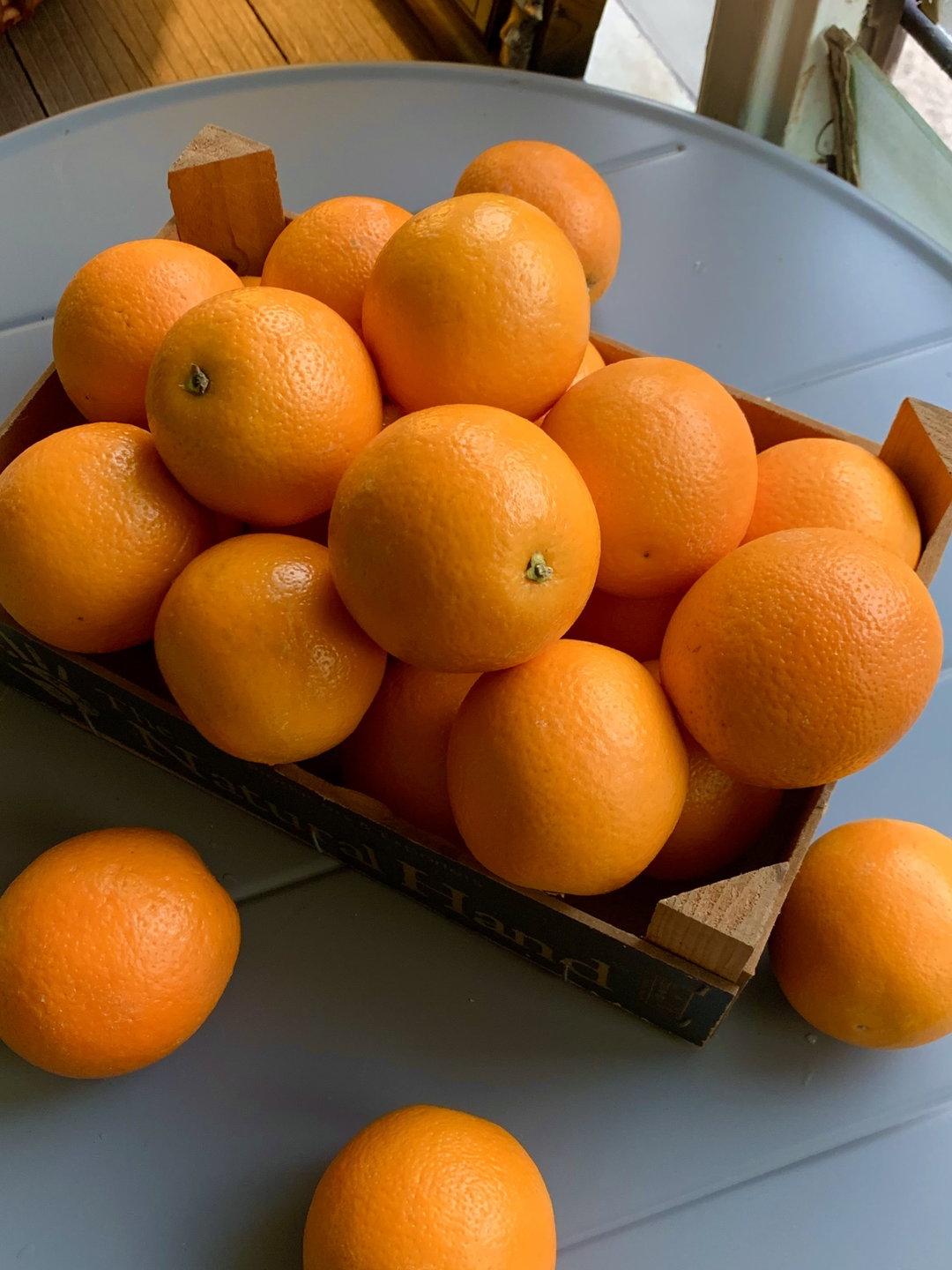 Navel Orange Egypt