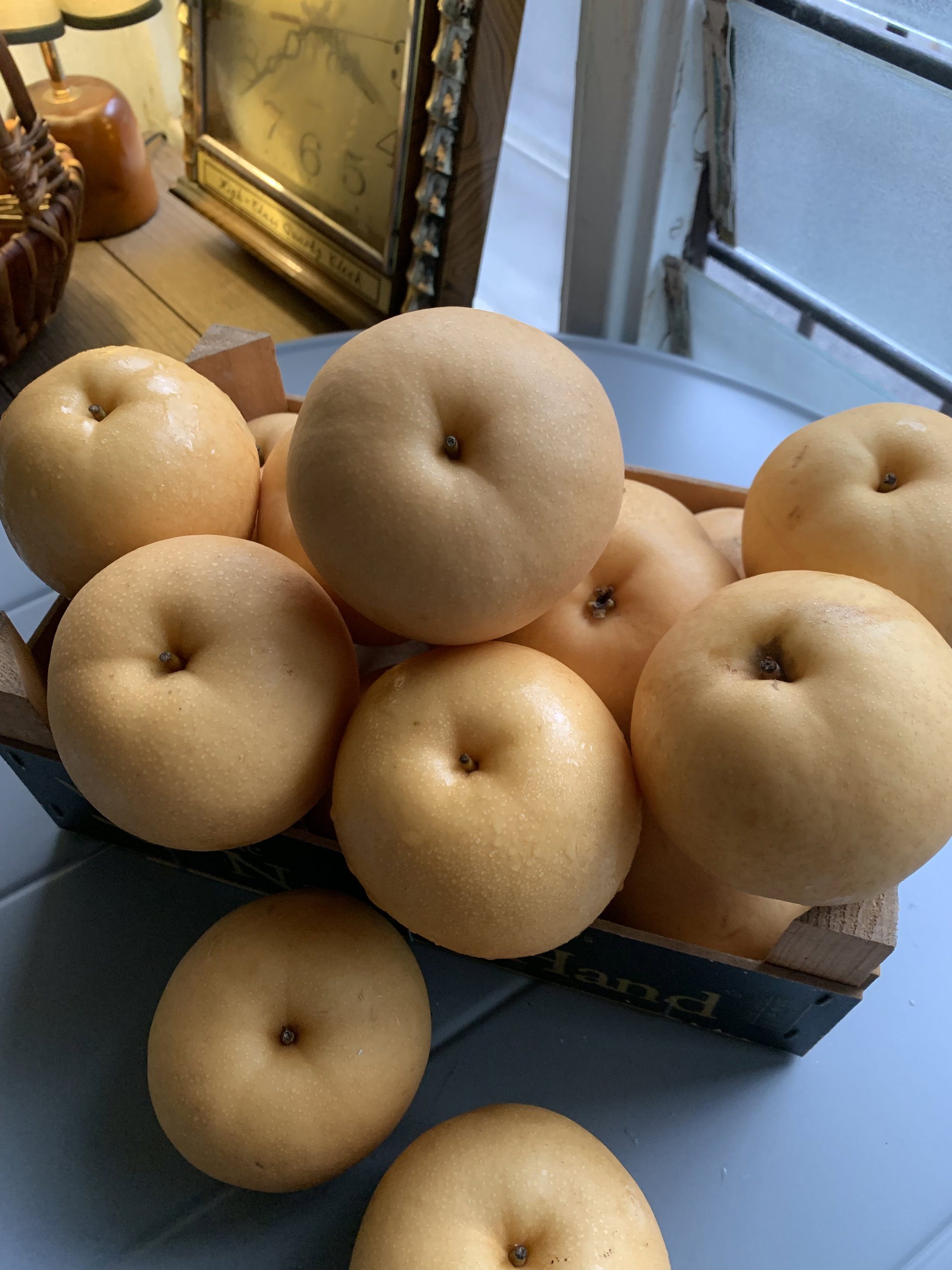 Korean Pear_0
