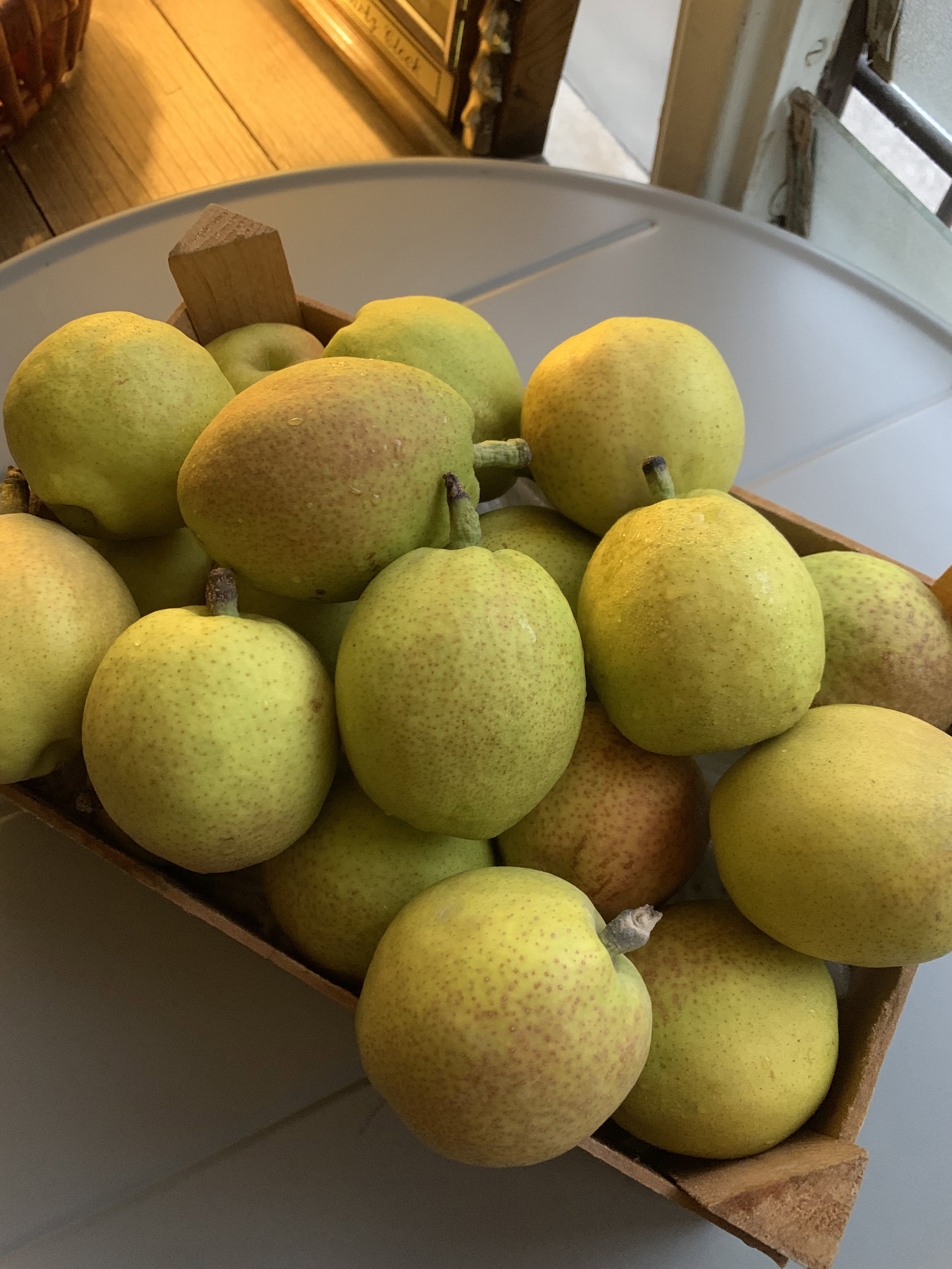 Fragrant Pear_0
