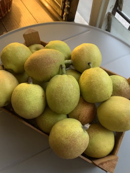 Fragrant Pear