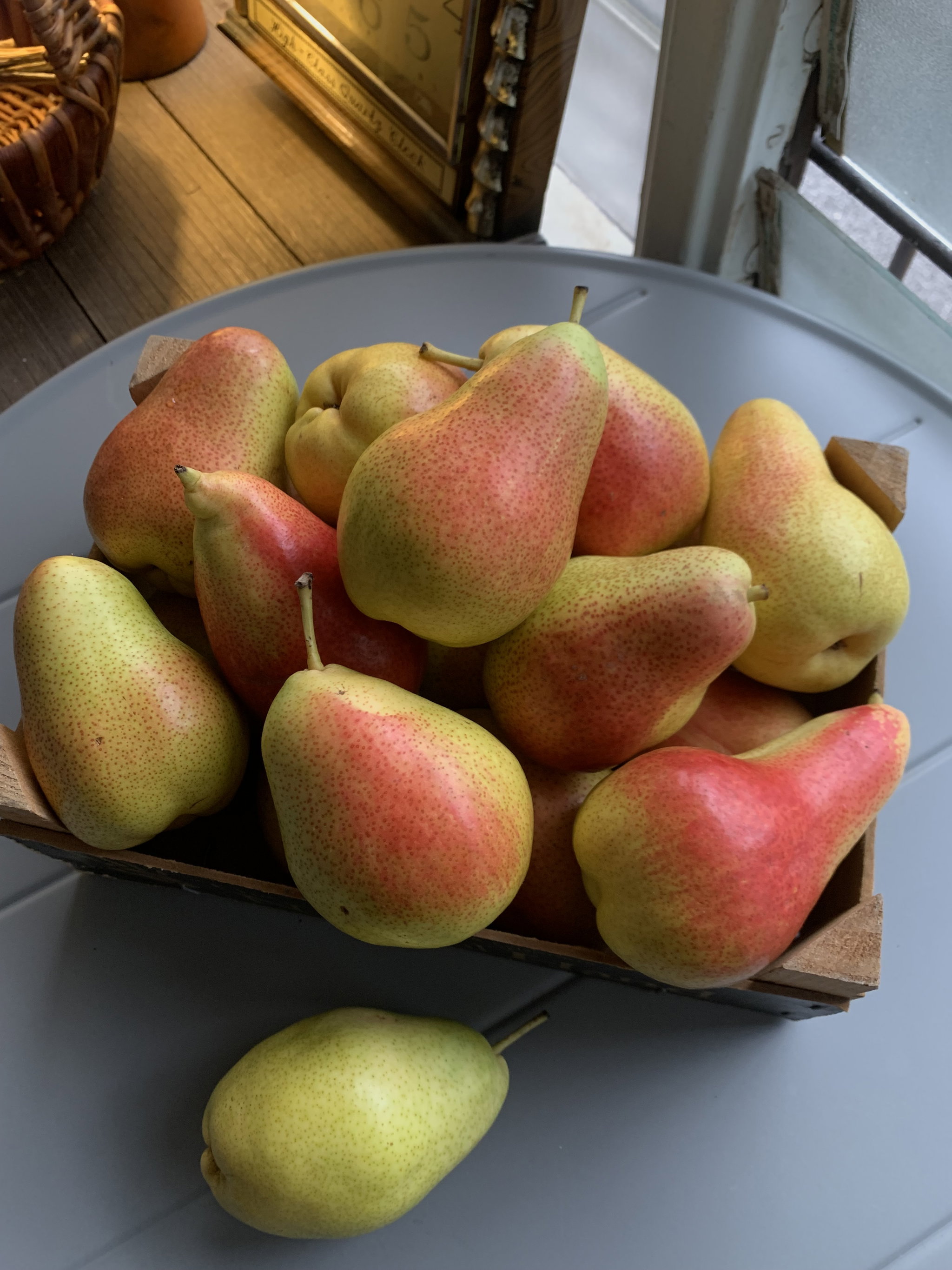 Forelle Pear_0