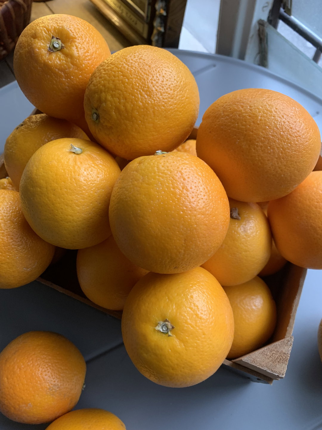 Valencia Orange 
