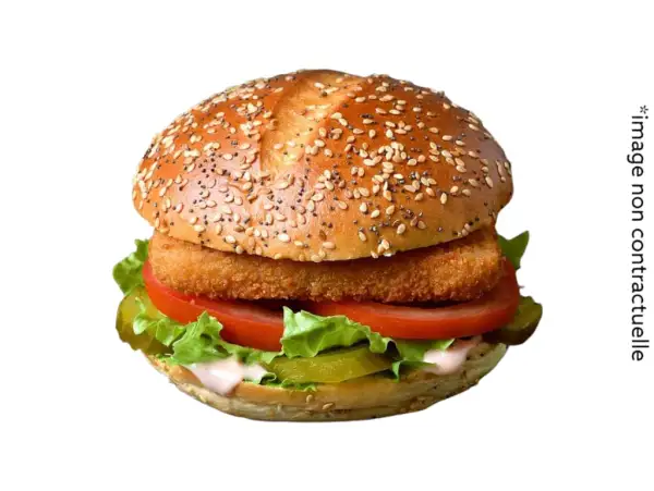 Mozzarella Burger + frites + coleslaw