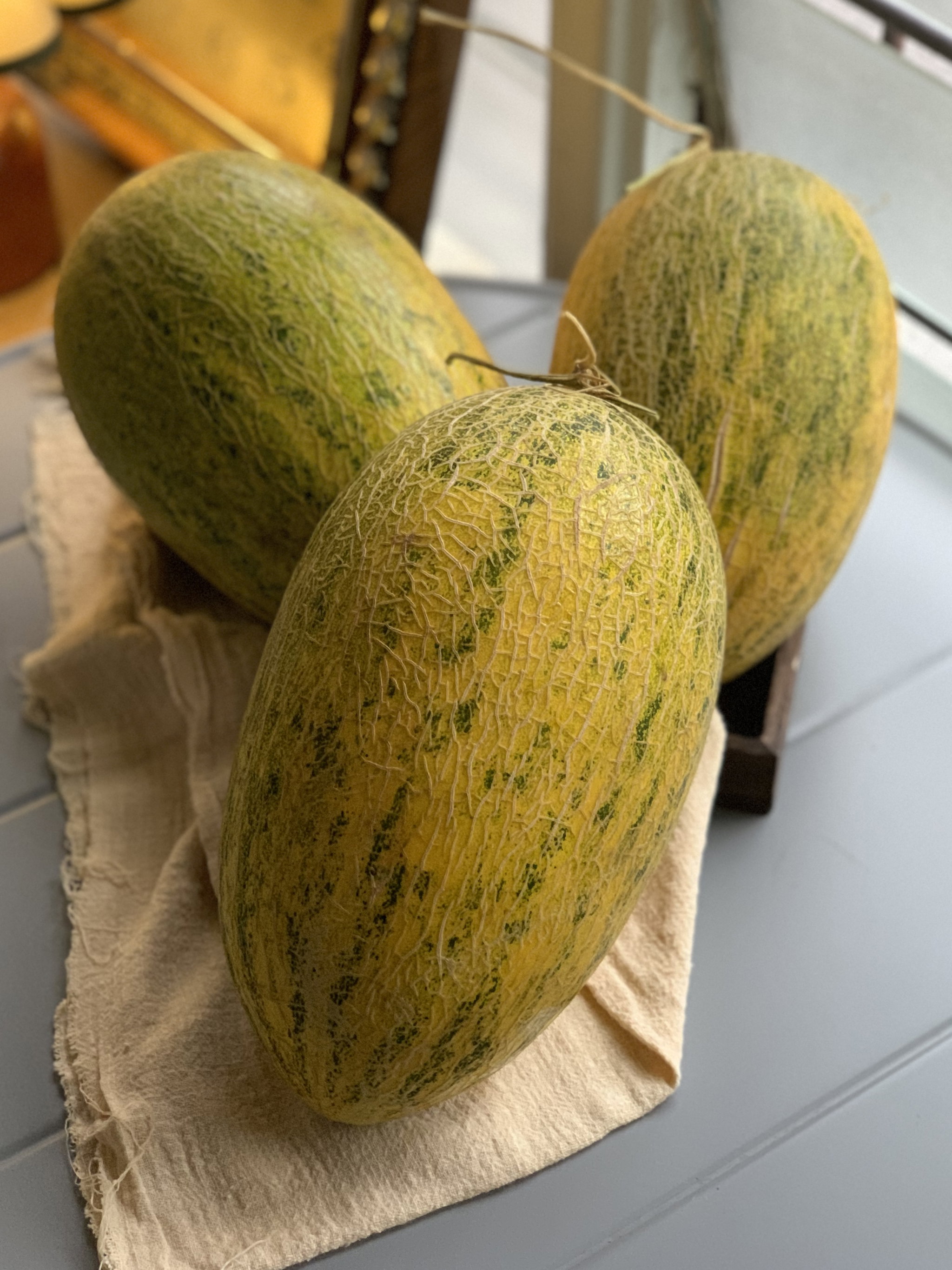 Hamimelon_0