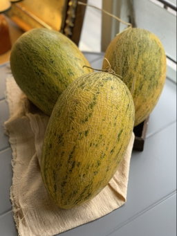 Hamimelon