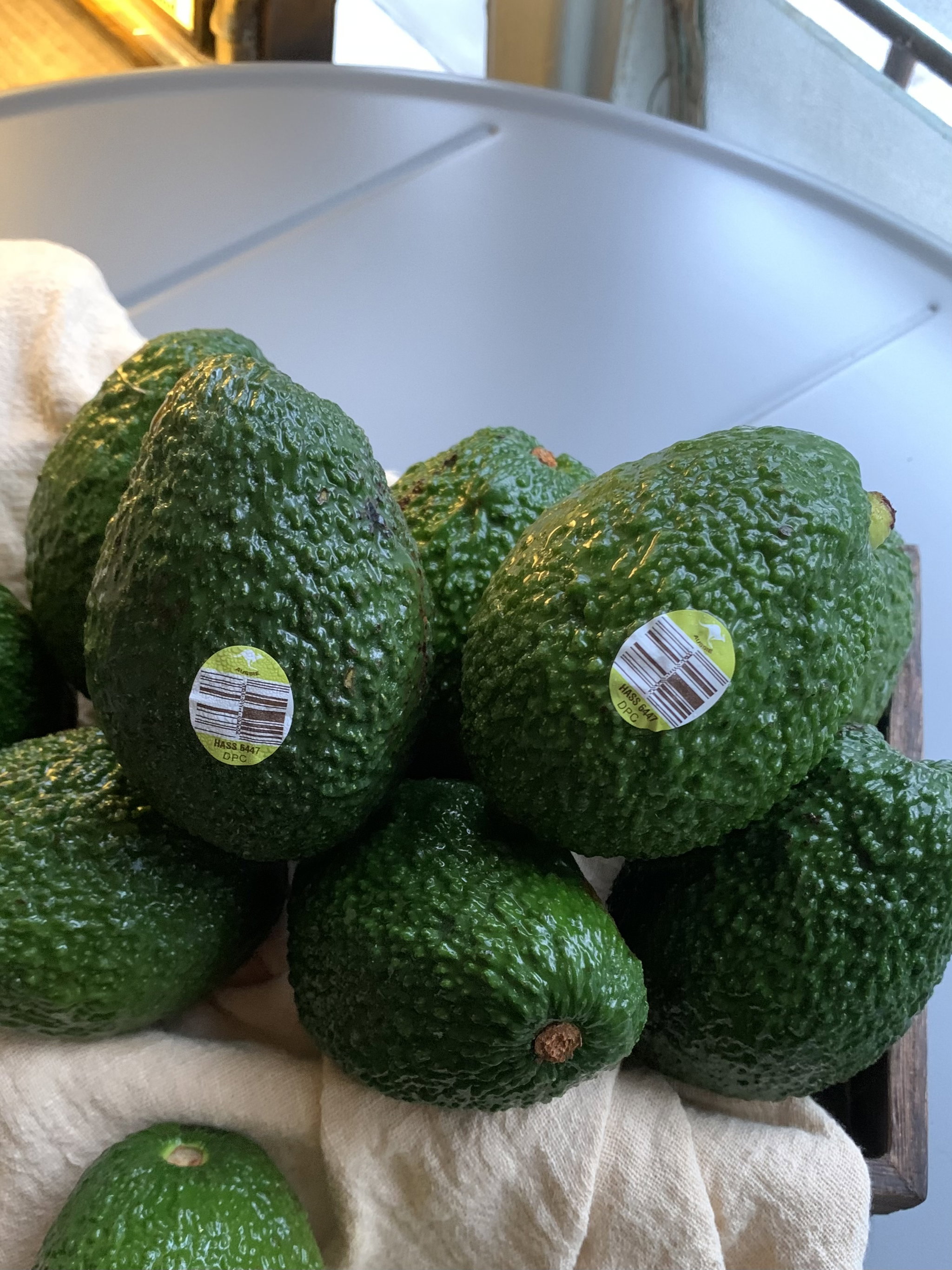 Avocado Australia_0
