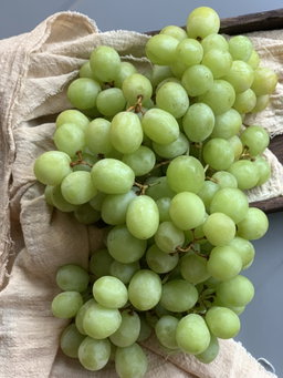 Grapes