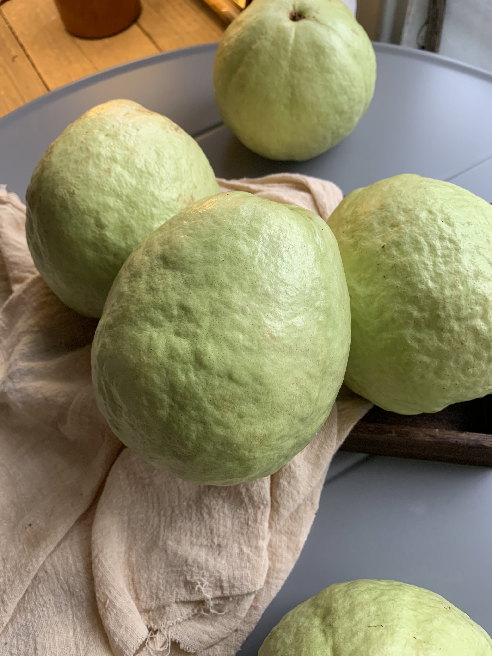 Lohan Guava _0