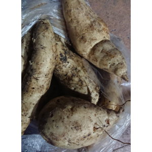 Ketela Madu 1Kg_1
