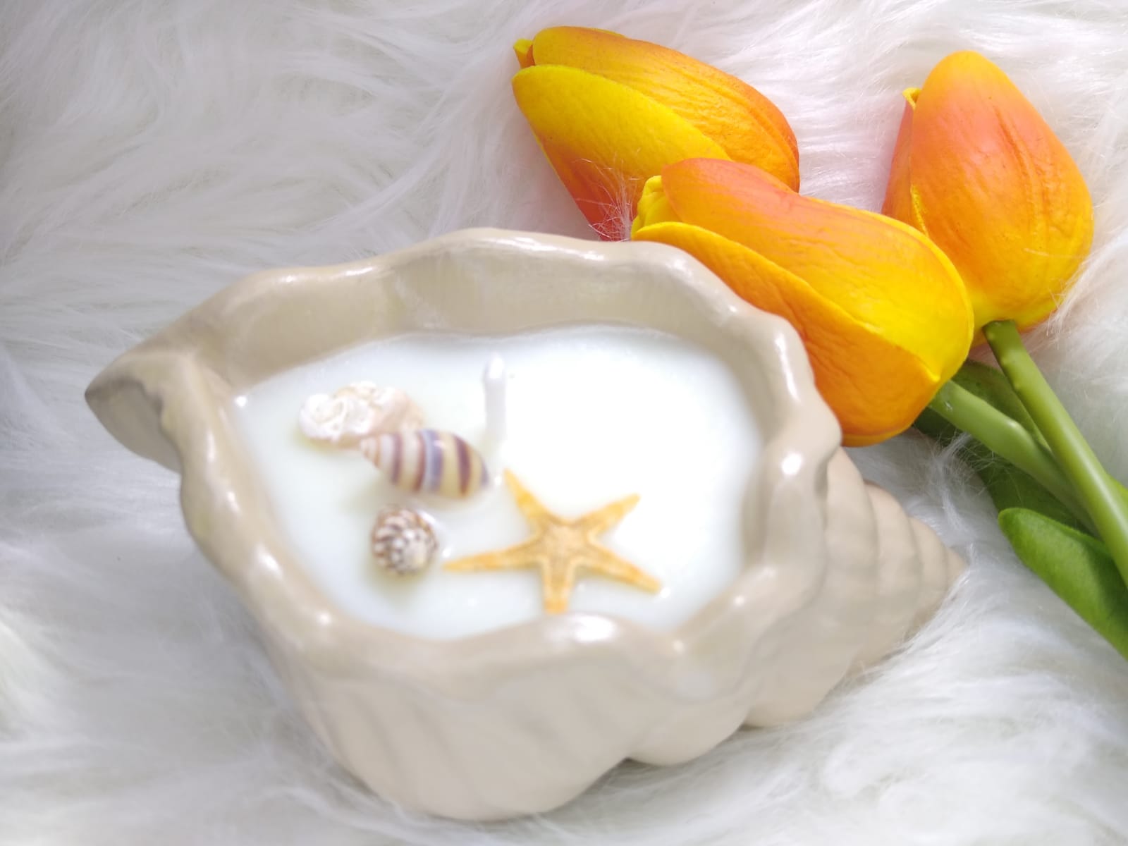 Sea Shell Candle_1