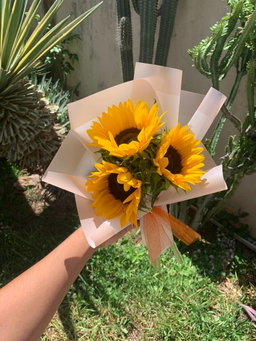 Tiny girasoles