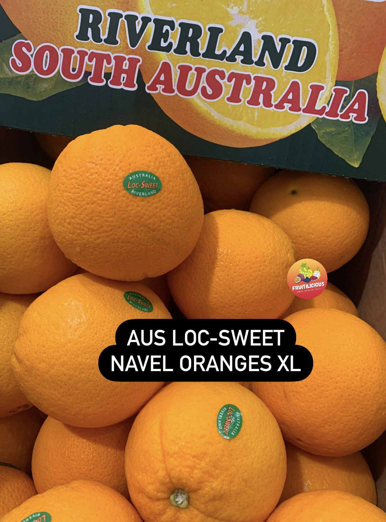 AUS NAVEL ORANGES XL_0