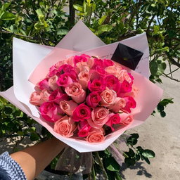 50 rosas