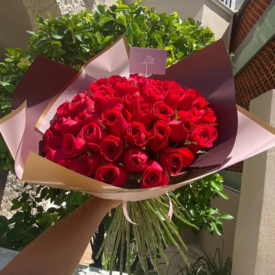 50 rosas_1