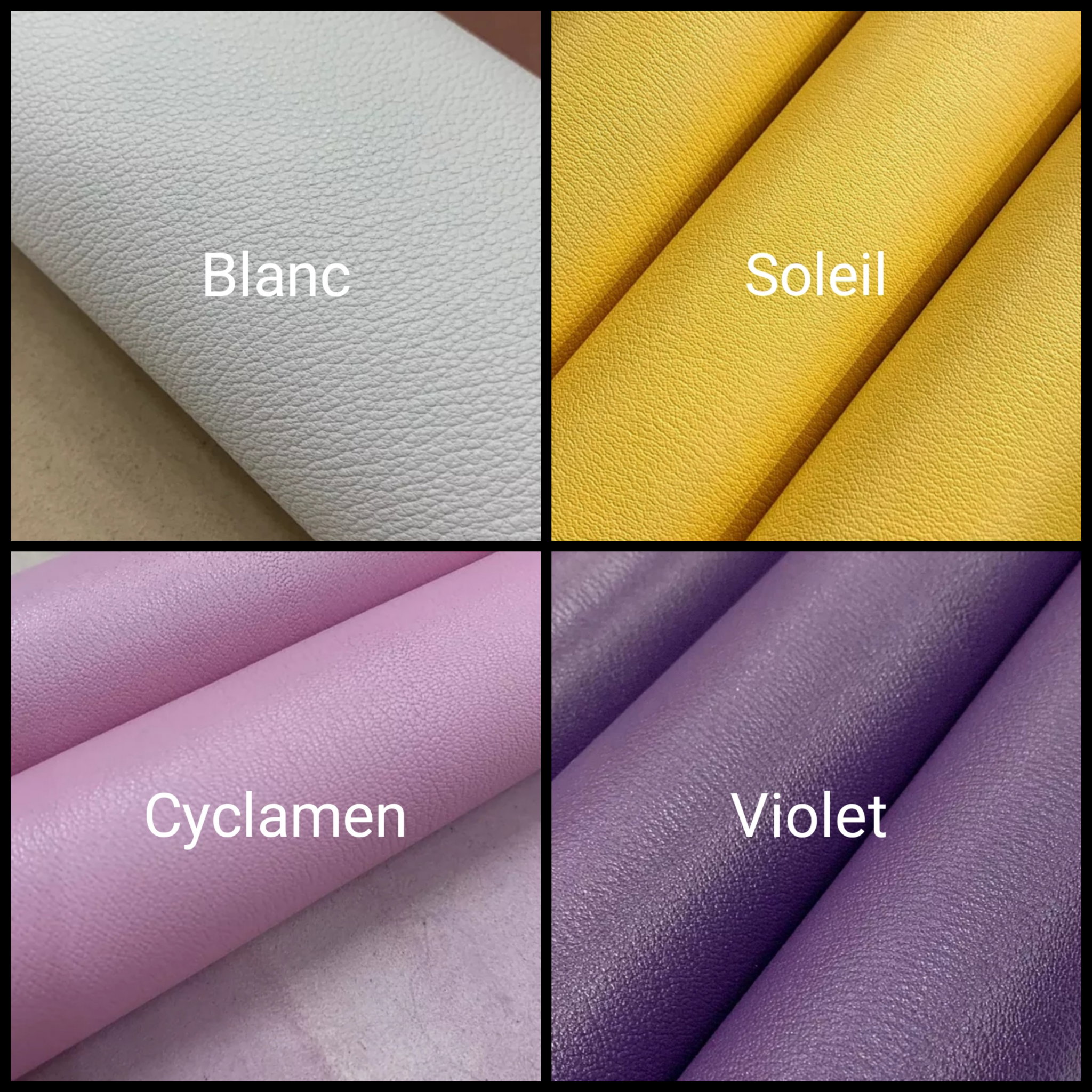 Key Case - 12 colors_6