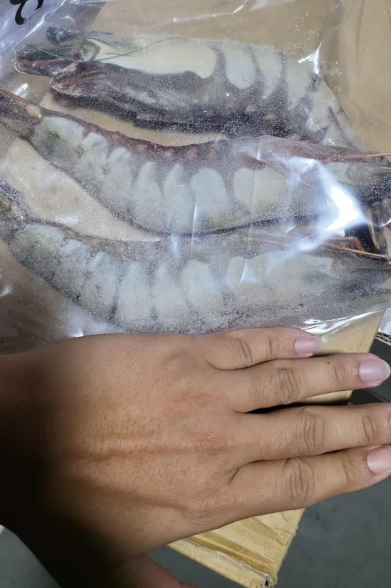 Jumbo Tiger Prawn Hoso 6/8_2