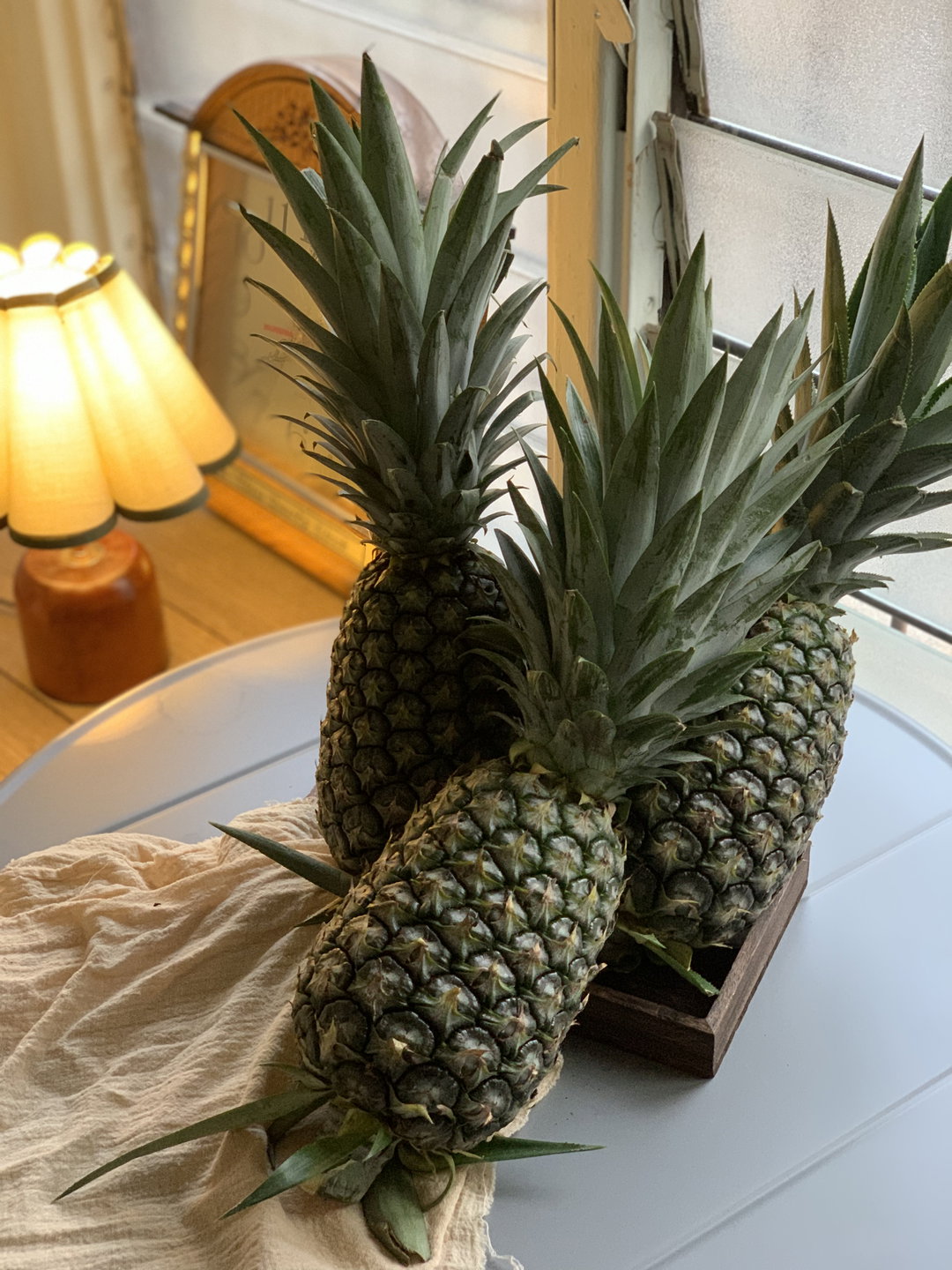 Pineapple MD2 
