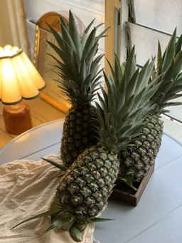 Pineapple MD2 