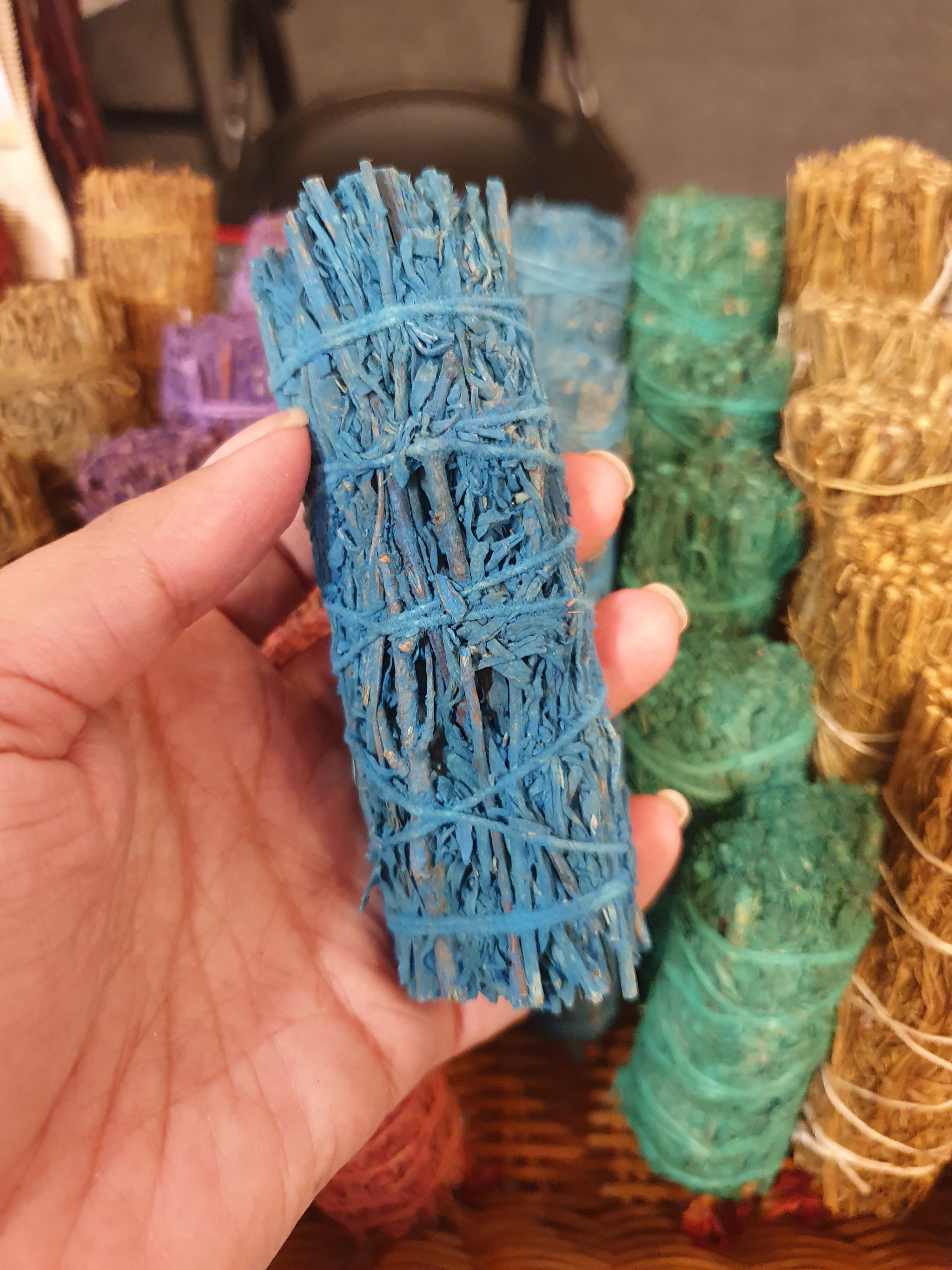 Scented Blue Sage_1