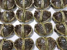 Hairy Crab Gift Pack 大闸蟹礼盒