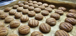 PEANUT BUTTER BISCUIT