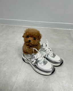Benji