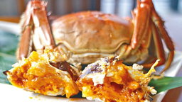 Hairy Crab Grade 49 Bulk Order (F&B/wholesale) 