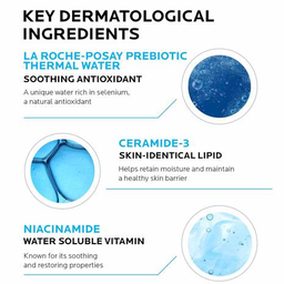 La Rocha Posay Toleraine Purifying Foaming Facial Wash