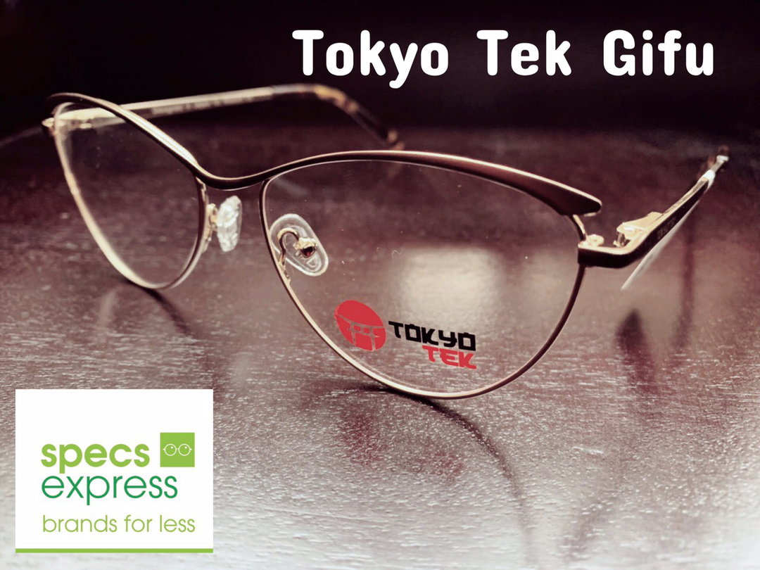 Tokyo Tek Gifu