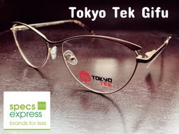 Tokyo Tek Gifu