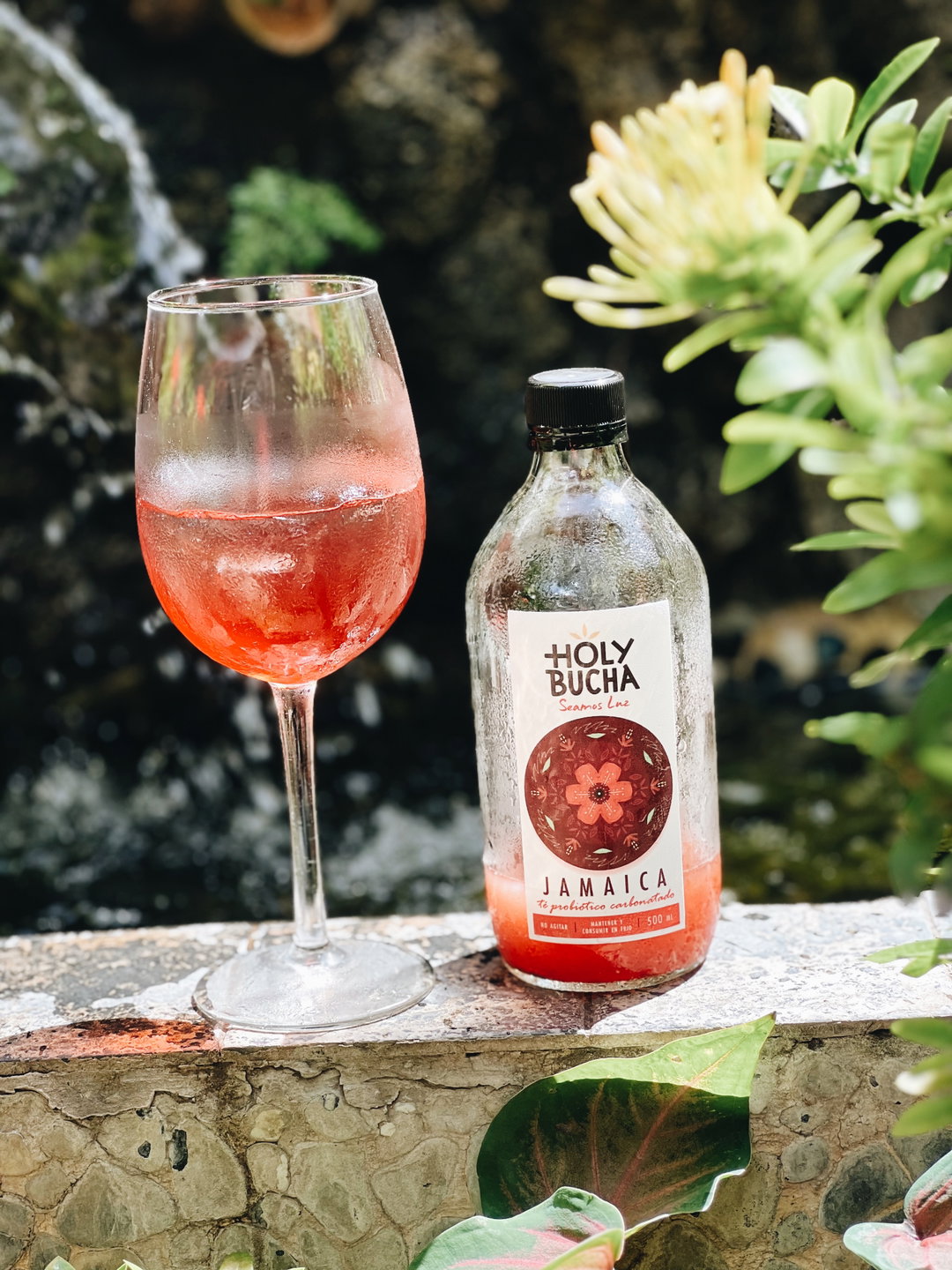 Kombucha
