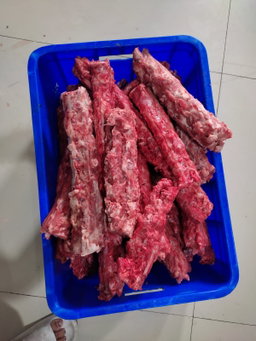Tulang Punggung Babi