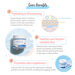 Round Lab Birch Moisturizing Cream 80ml
