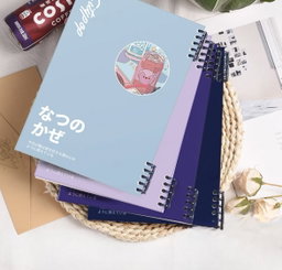 Popcity Notebooks