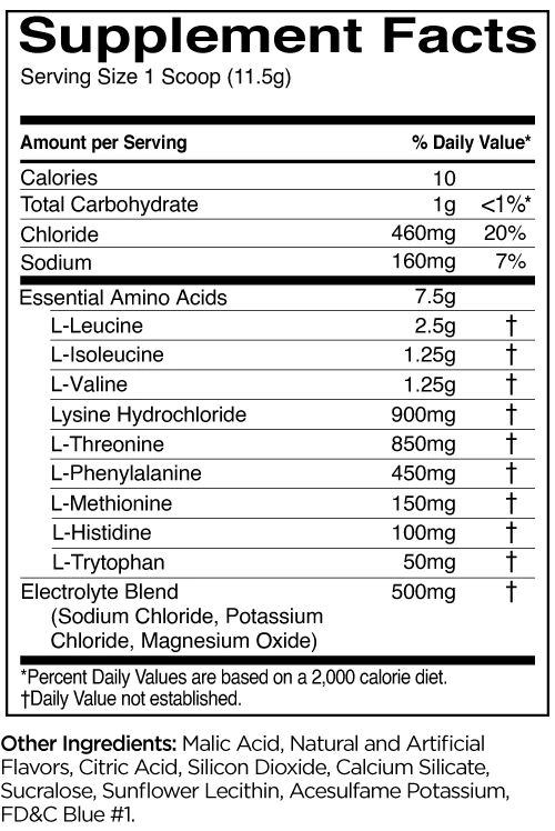 R1 ESSENTIAL AMINO 9 FRUIT PUNCH 30 SERV_1
