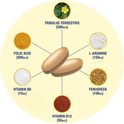 GAT SPORT TESTROL GOLD 60 TABLETS