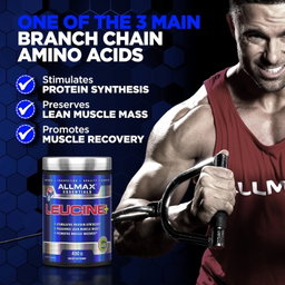 ALLMAX NUTRITION LEUCINE 400G