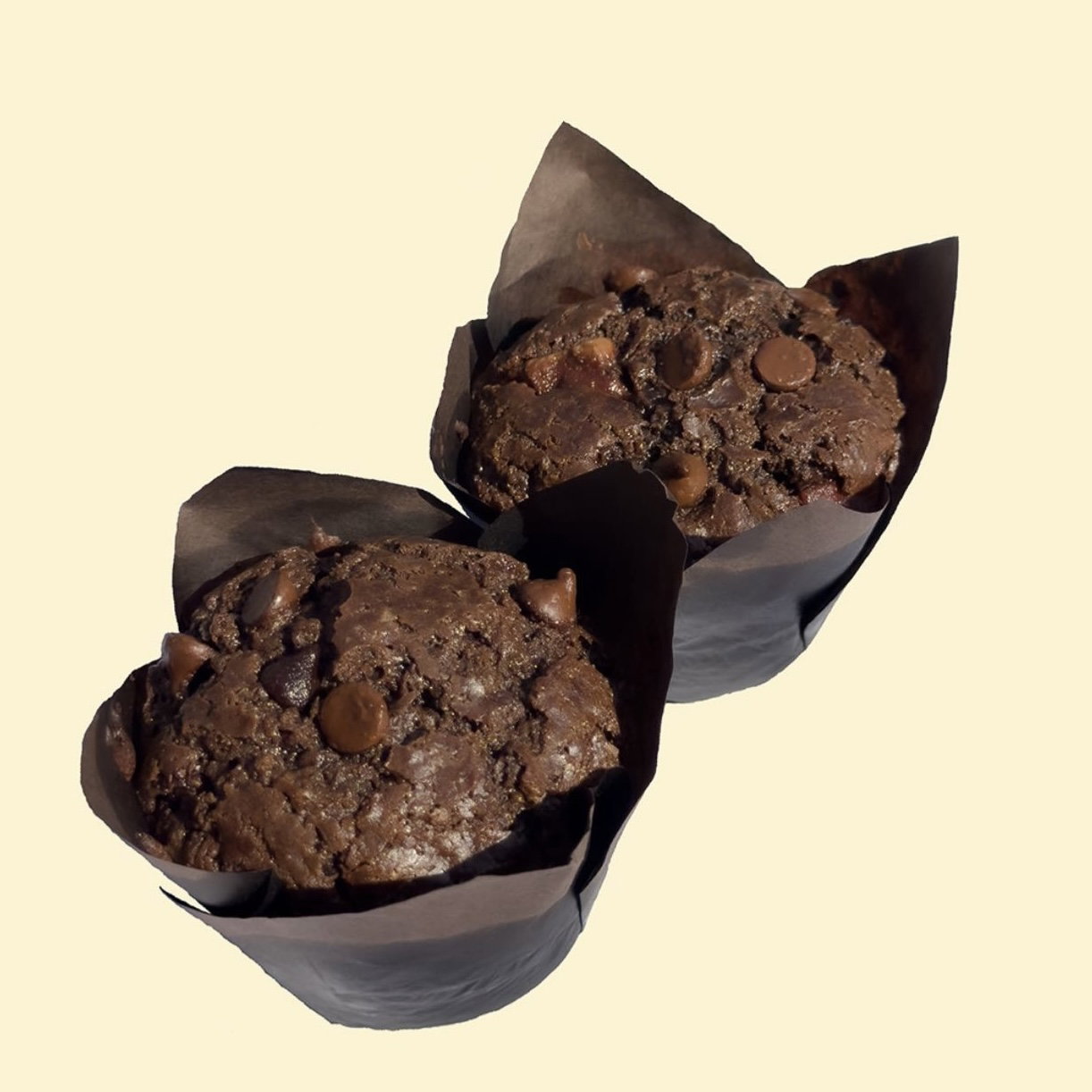 Double Chocolate Muffins_0