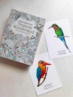 Birds of Singapore II Postcards (Set of 8)