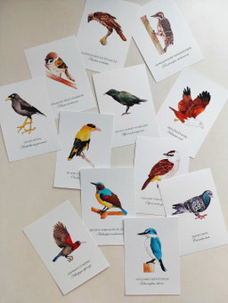 Ultimate postcard set