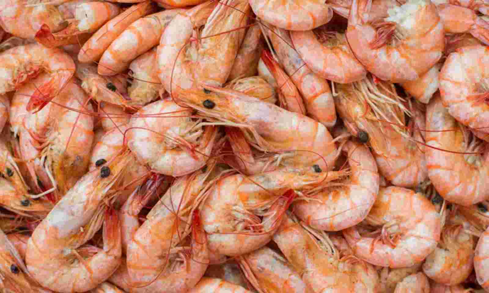Shrimps (UNPEELED)_1
