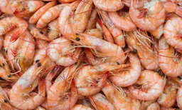 Shrimps (UNPEELED)