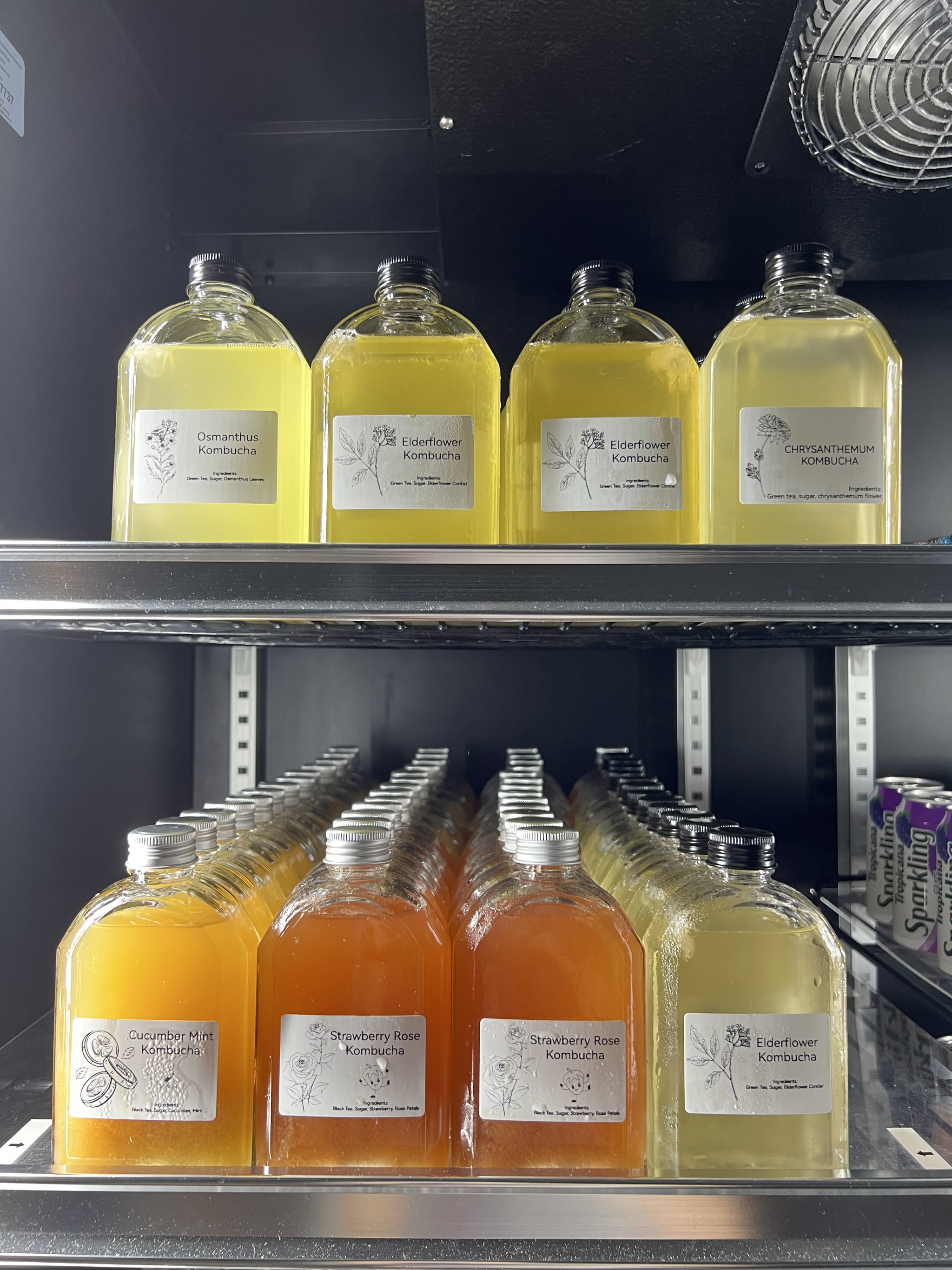 Kombucha_0