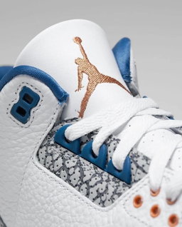 Air Jordan 3 OG "Wizards"