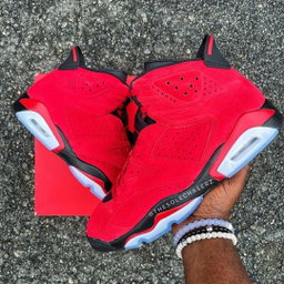 Jordan 6 Toro