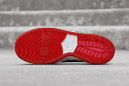 Nike Dunk Low "Ishod Wair,"
