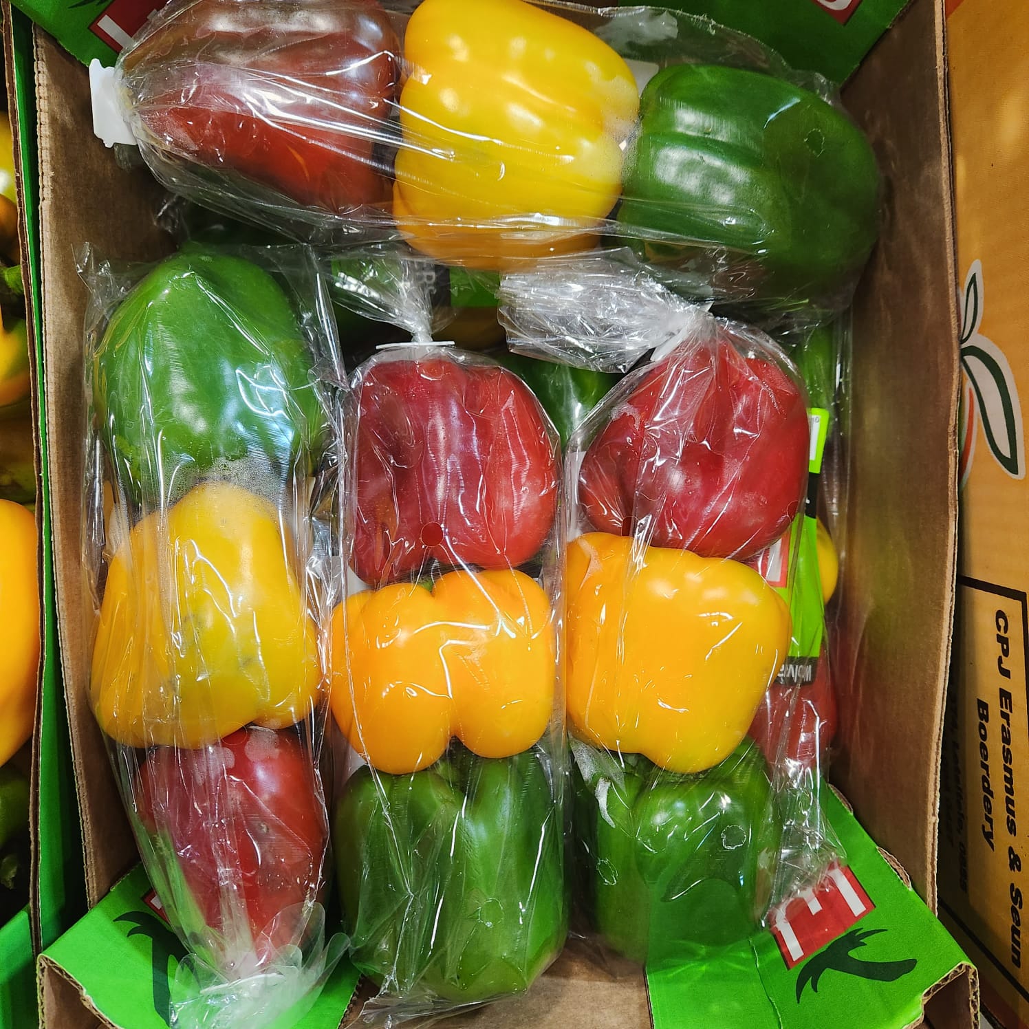 Peppers (Robot Mix)_0