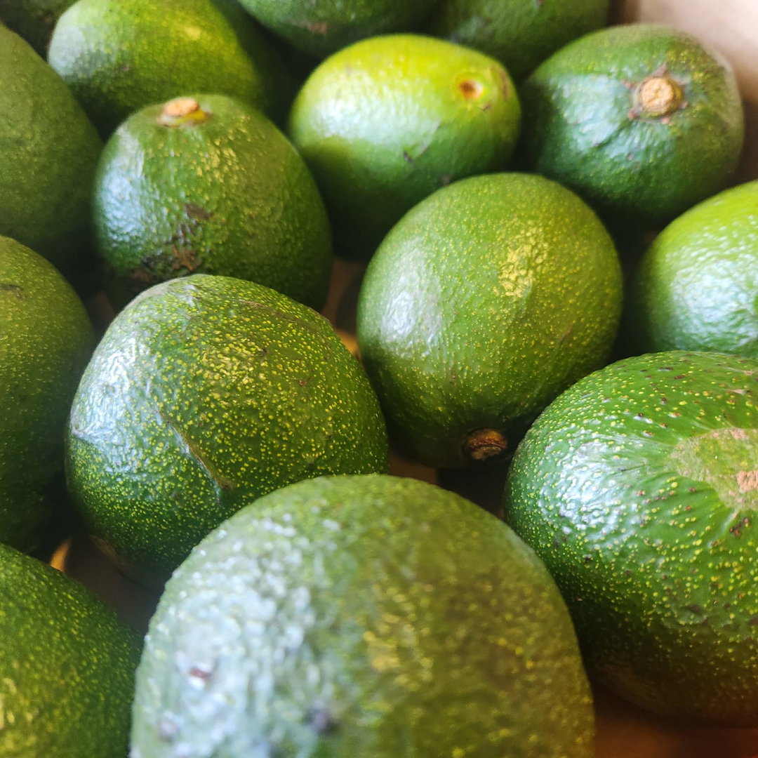 Avocado (700g)