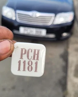 Number Plate Keychain 