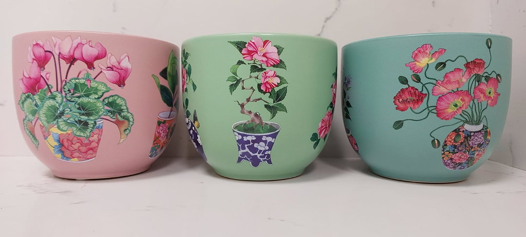 Maxwell Williams garden planter 12cm R199.99 each